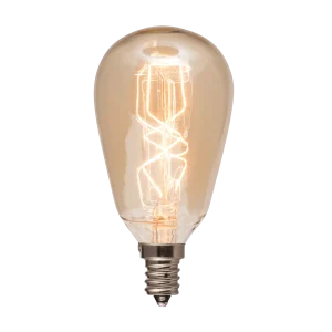 40-Watt Edison Bulb