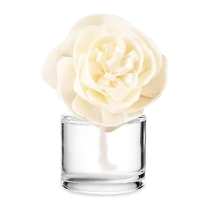 Black Raspberry Vanilla – Buttercup Belle Fragrance Flower