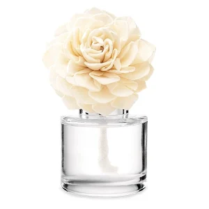 Clothesline – Dahlia Darling Fragrance Flower