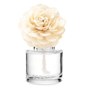 Winterberry Apple Tea - Dahlia Darling Fragrance Flower