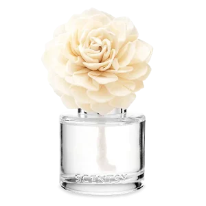 Leaves & Lavender - Dahlia Darling Fragrance Flower