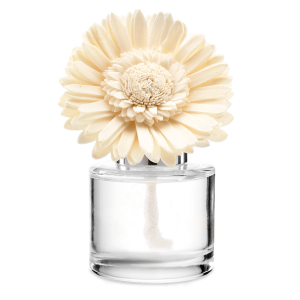 Perfect Peppermint - Dainty Daisy Fragrance Flower