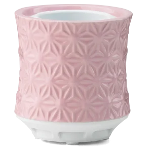 Scentsy Air – Burst