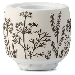Scentsy Air – Dandelion Daze