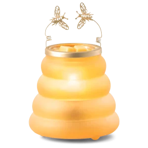 Beehive Warmer