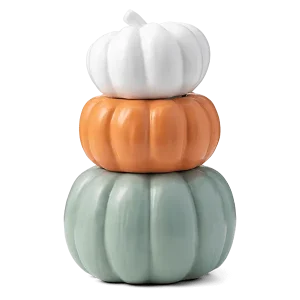 Color Me Pumpkin Warmer