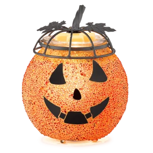 Gleaming Grin Warmer