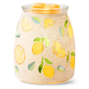 Lemonly Yours Warmer