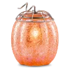 Pumpkin Sparkle Warmer