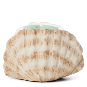 Seashell Warmer