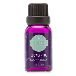 Eucalyptus 100% Pure Essential Oil