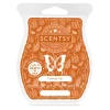 Forever Fall Scentsy Bar