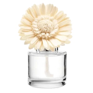 Amazon Rain – Dainty Daisy Fragrance Flower