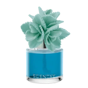 Wildflowers & Sage – Elegant Echeveria Fragrance Flower