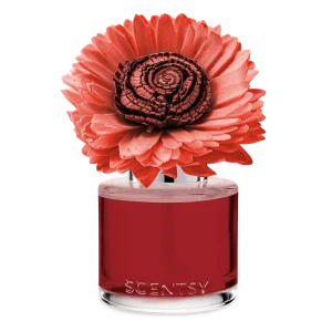 Cider & Crimson Berries – Stunning Sunflower Fragrance Flower