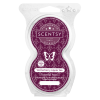 Winterberry Apple Tea Scentsy Pod Twin Pack