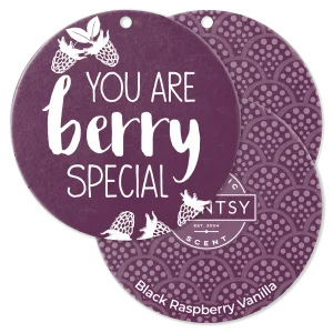 Black Raspberry Vanilla Scent Circle 3-Pack